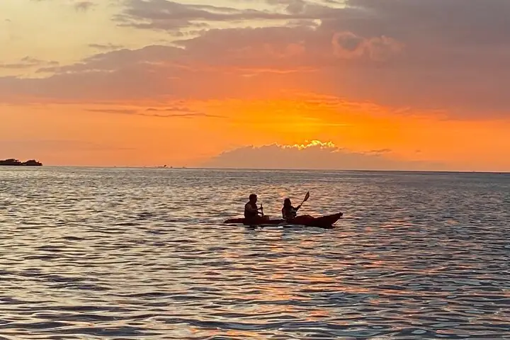 Bioluminescent glow in the water from kayak paddles