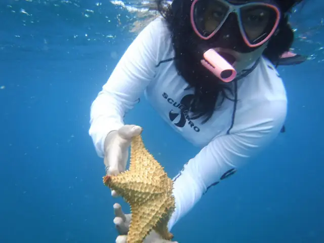 Culebra all-inclusive snorkel and Flamenco Beach day trip