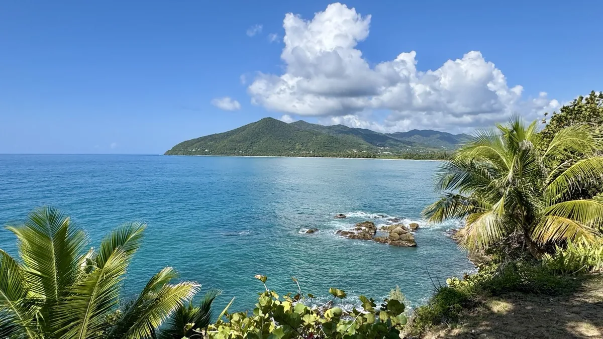 Turquoise bay and palm-lined Maunabo coastline Puerto Rico
