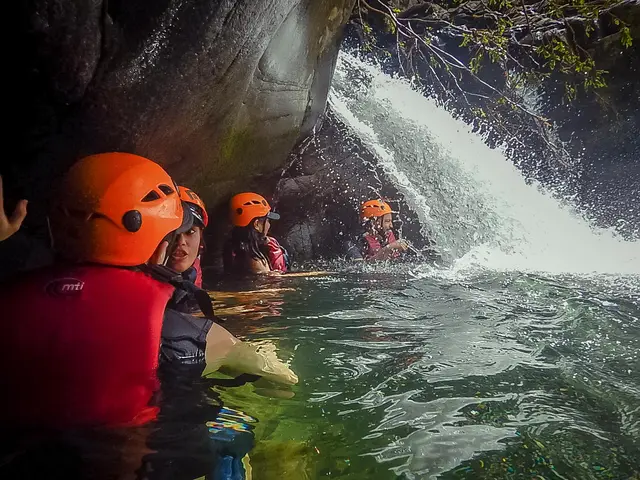 Rope swing over crystal clear rainforest pool