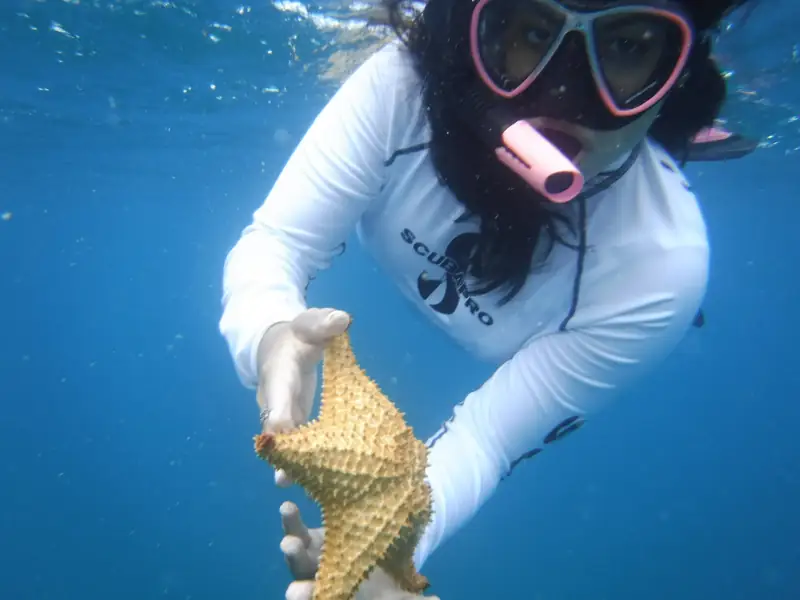 Fajardo snorkeling at Cayo Icacos island La Cordillera Nature Reserve Puerto Rico