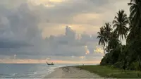 Palm-lined Caribbean beach near Naguabo Puerto Rico